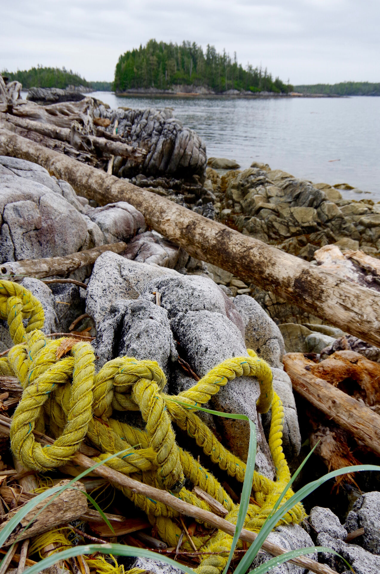 Marine Debris. Photo by iStock.