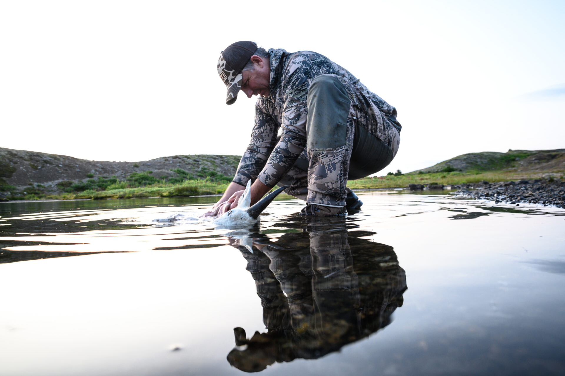 Washing the blood out of a cape or hide, particularly a white one, in cold water with a bio-safe soap will ensure its original lustre and shine. Photo by Nick Trehearne.