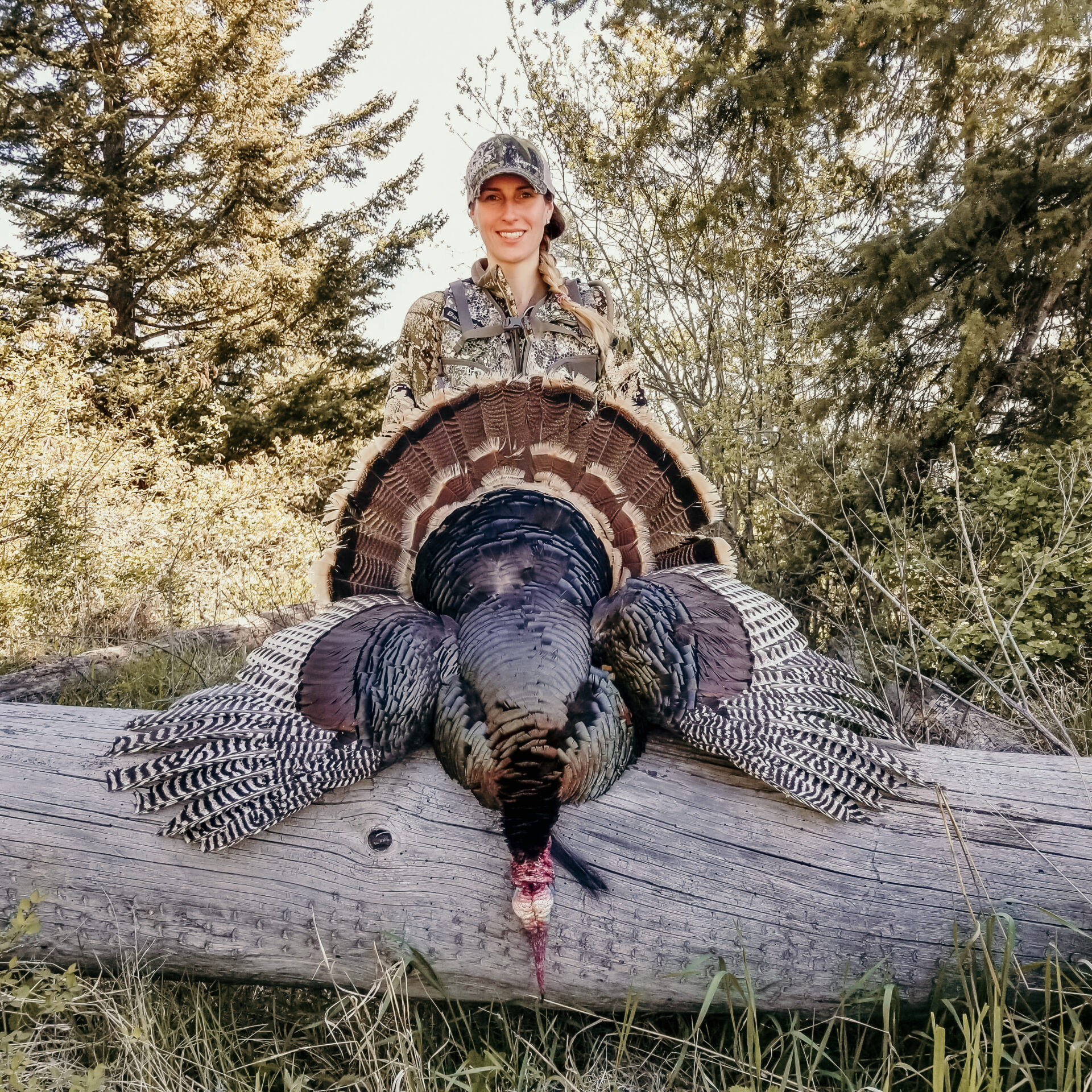 Turkey success: With incredible eyesight and hearing, you need to be on your game when it comes to hunting Merriam turkey. But that’s all part of the fun!