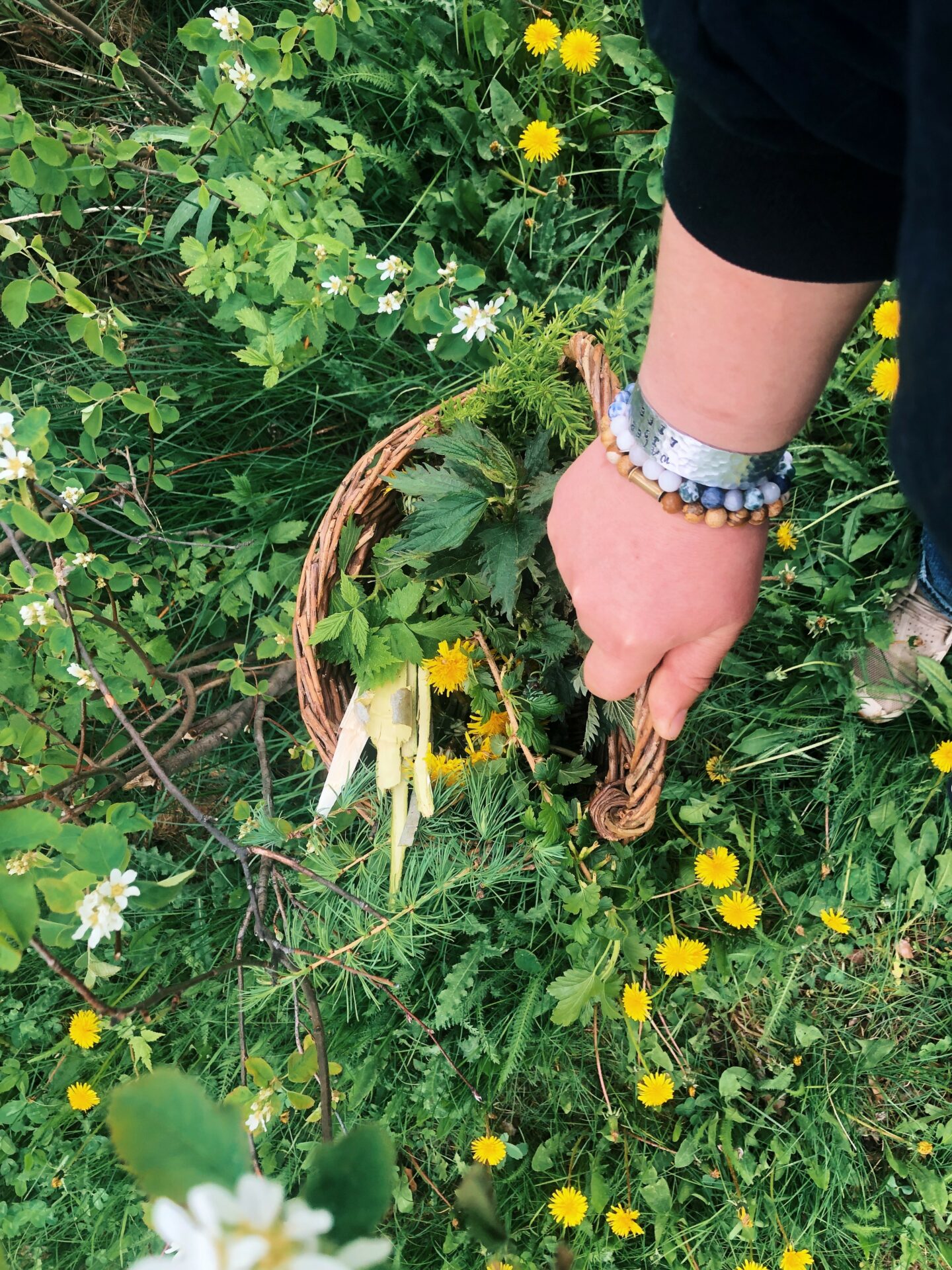 Foraging. Credit: Raeanne O’Meara.