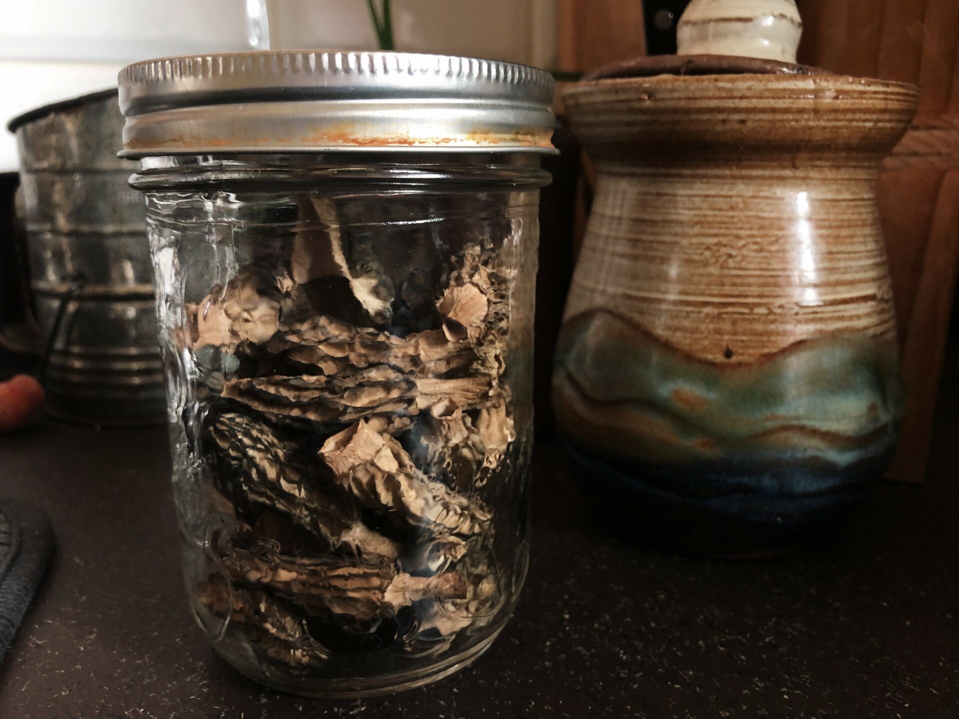 Morels. Credit: Raeanne O’Meara.