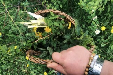 Foraging. Credit: Raeanne O’Meara.