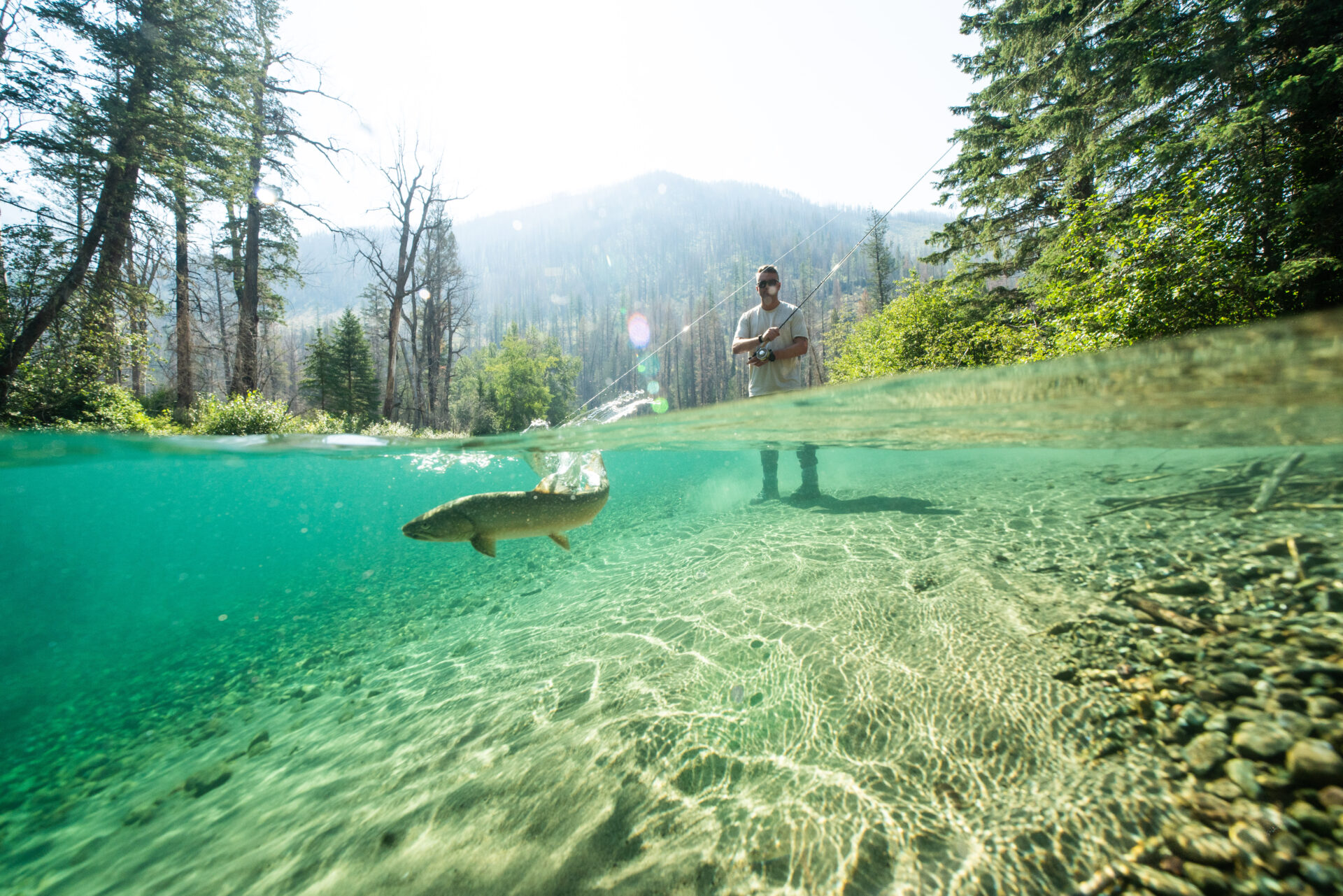 Bull trout are an incredible species that happen to live in a wonderful part of the world, and the author considers them a must for any serious angler. Photo by Chase White.