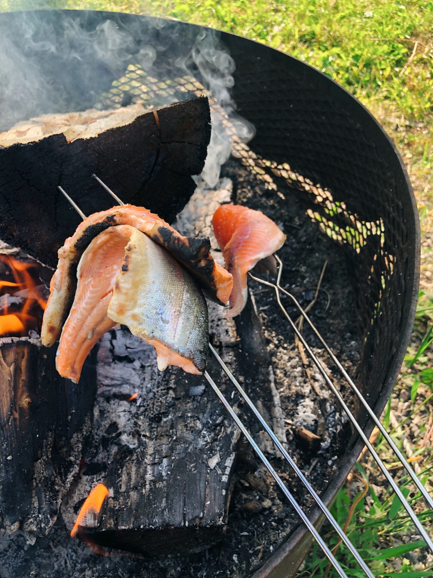 Rainbow Trout Over The Campfire. Credit: Raeanne O’Meara.