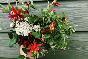 A Wildflower bouquet. Credit: Raeanne O’Meara.