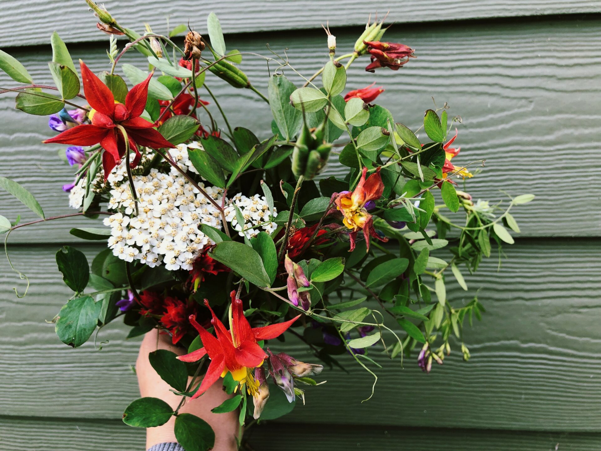 A Wildflower bouquet. Credit: Raeanne O’Meara.