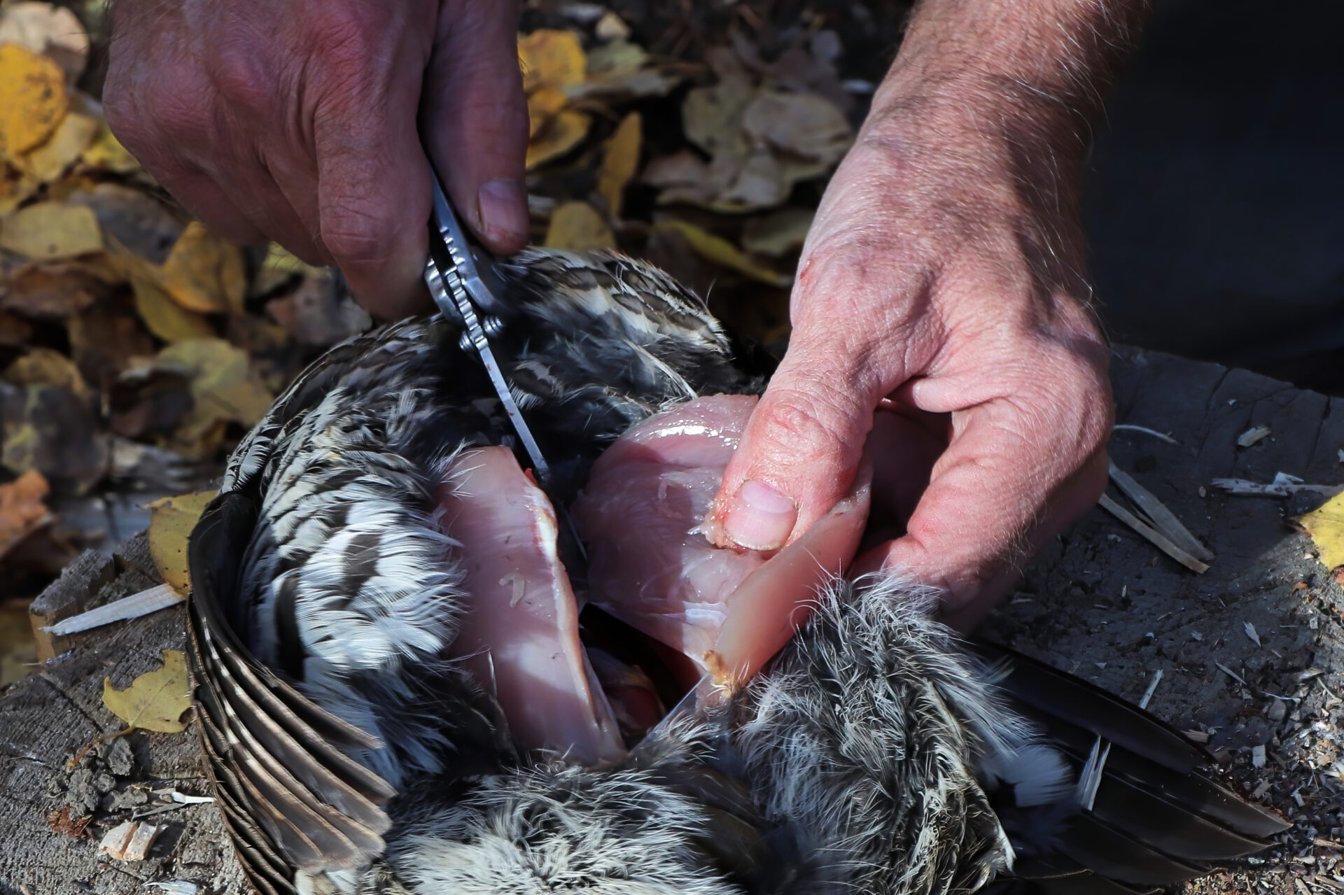 The style of knife is usually dictated by the type of hunt you’re going on and the knife’s intended purpose.