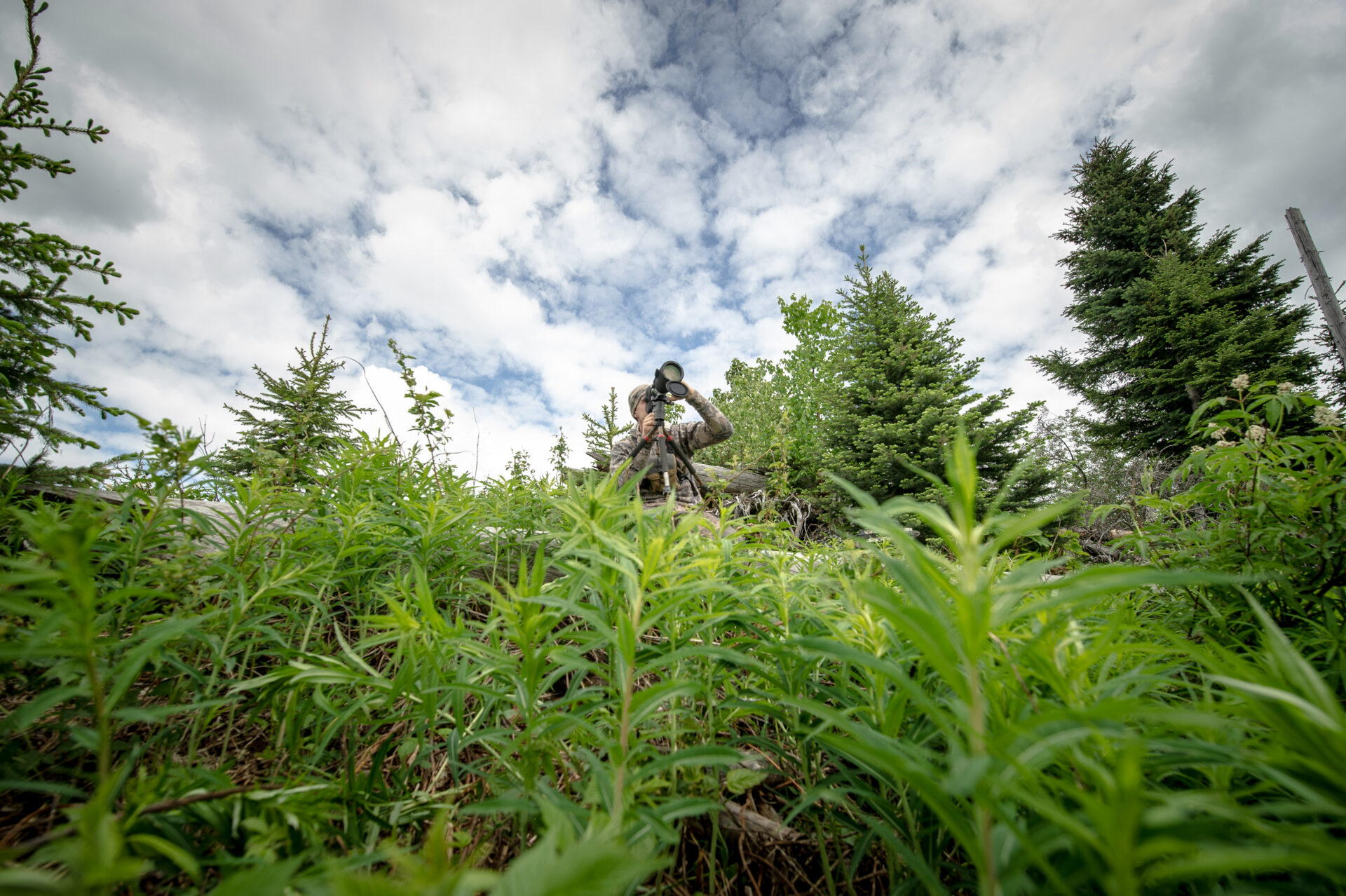 BC’s Omineca region, which encompasses the Omineca Mountains and Omineca River, is a must-try destination for black bear hunters. Photo by Nick Trehearne.