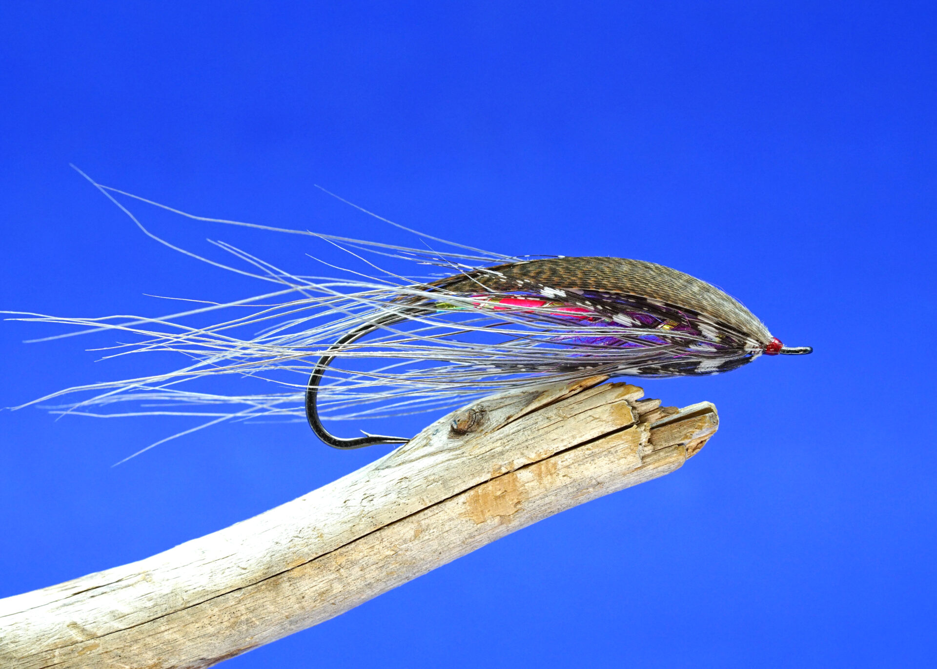 The Winter Spey • BC Outdoors Magazine