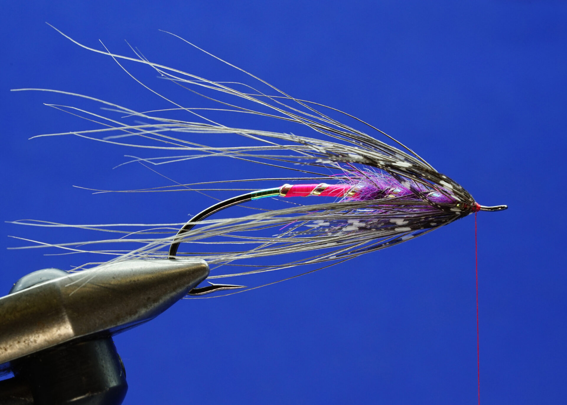 The Winter Spey: Step 5.