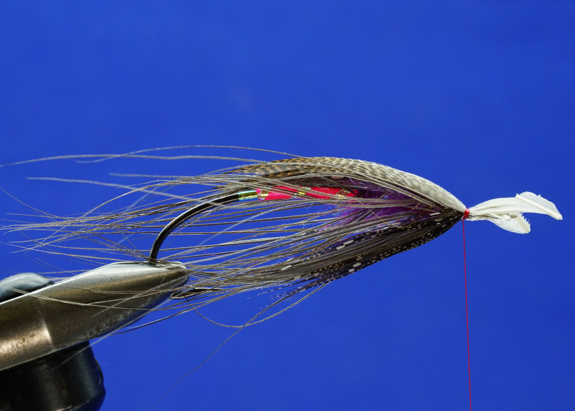 The Winter Spey: Step 7.