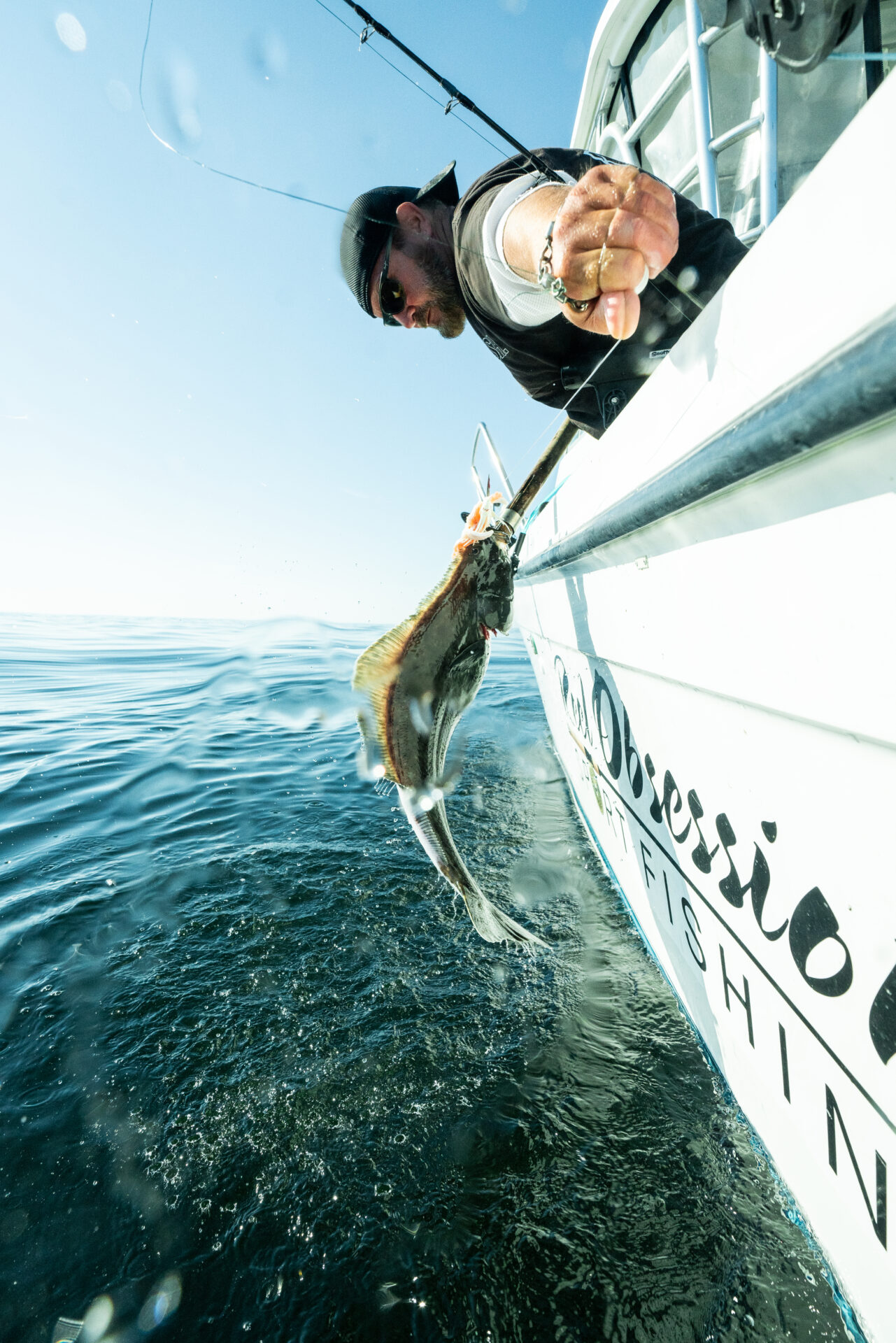 If the halibut on your line is of legal size, do not pull its head above water until you are ready with a fast gaff or harpoon, as this is a crucial time where fish will be potentially lost. Photo by Chase White.