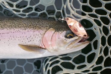 Copper spoons with a bright red stripe seem to attract the most fish. The copper has just enough flash to attract fish in.