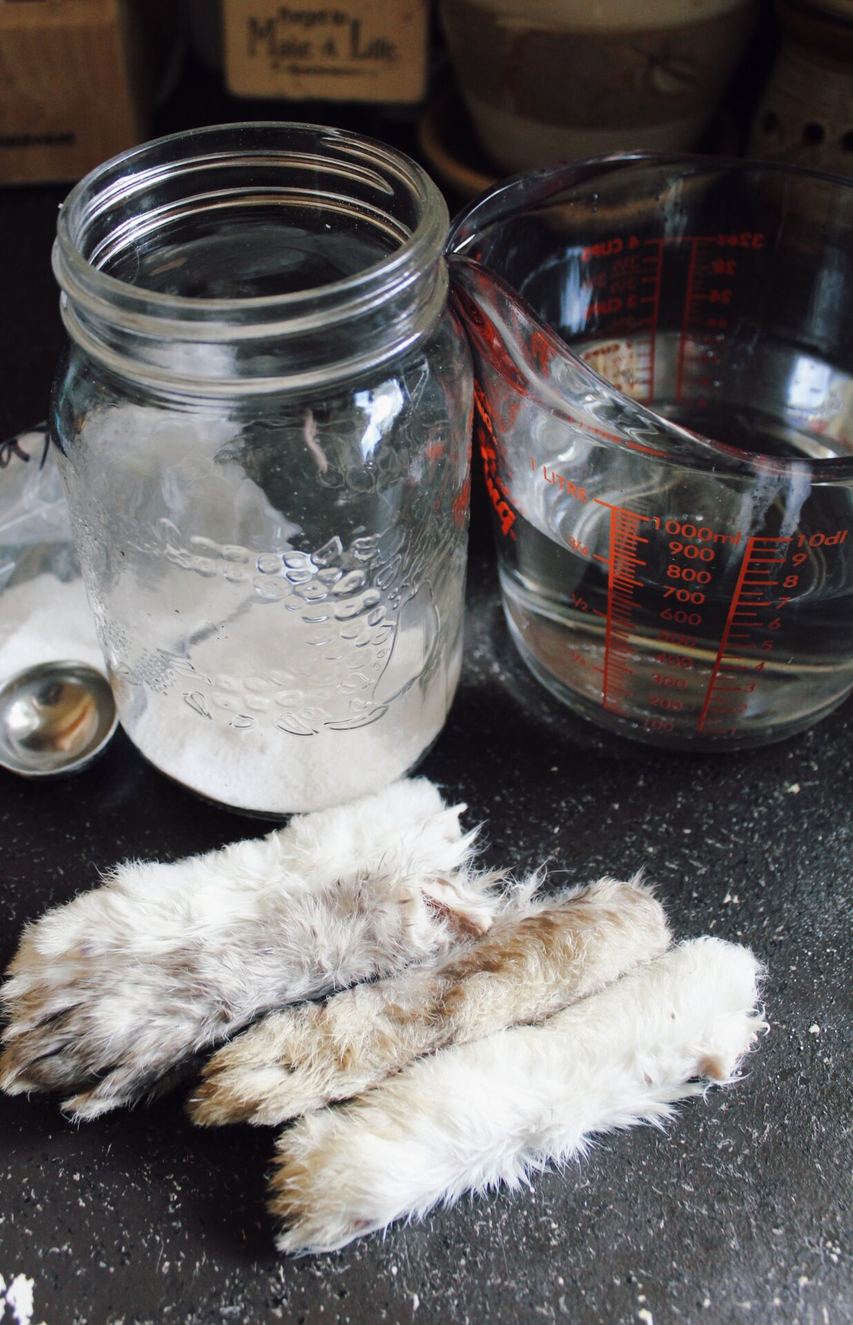 How To Preserve A Lucky Rabbit’s Foot. Credit: Raeanne O’Meara.