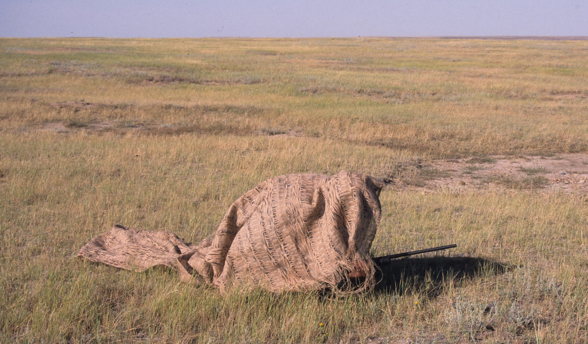 Pronghorn antelope live in wide-open spaces, so when it comes to stalking in close for the shot, you might have to get creative.