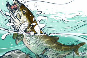 Inconnu. Illustration by Cory Proulx.