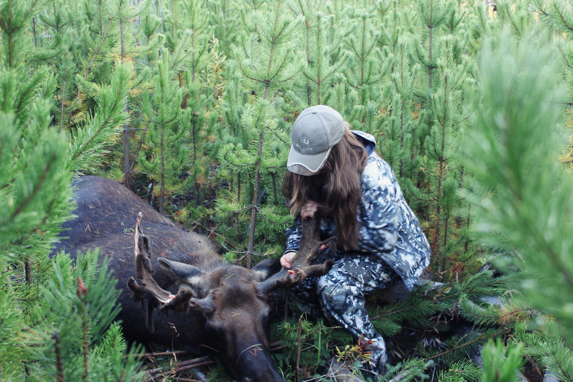 Moose hunt.